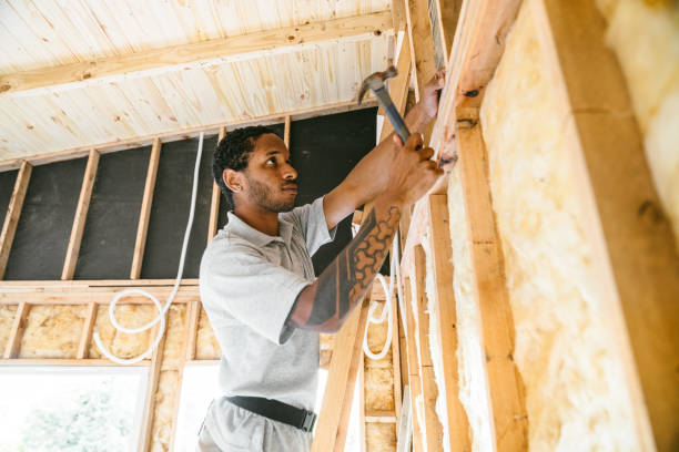 Best Attic Insulation Installation  in Sandy Valley, NV
